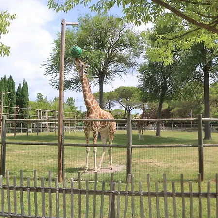 Appartamento Lucerna *